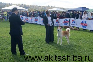 Gen Go Miyagi Takadorisou - класс YoukenA - 3 место в классе