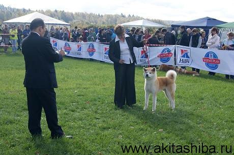 Gen Go Miyagi Takadorisou - класс YoukenA - 3 место в классе