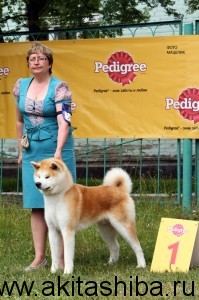 Gen Go Miyagi Takadorisou - лучший юниор!