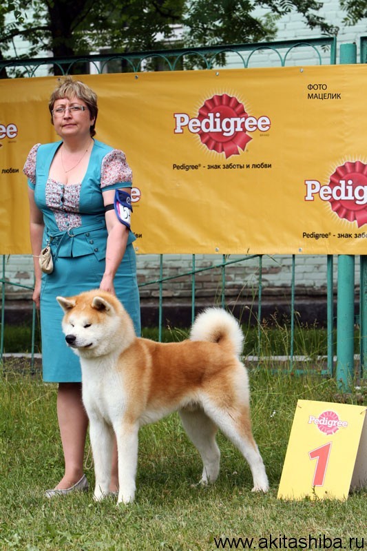 Gen Go Miyagi Takadorisou - лучший юниор!