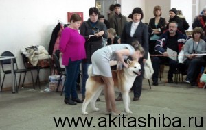 Выставка РЕД ЛАЙТХАУС 15.12.2013