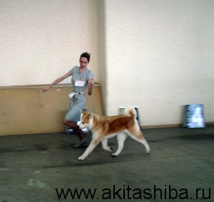 Выставка РЕД ЛАЙТХАУС 15.12.2013