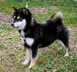 KAZAKOSHI NO NISHIKIHIME GO YOKOHAMA ATSUMI