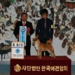 TATSUICHI GO DAITASOU JP