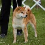 FUKU NO WAKAICHIROU GO OYAMA WATANABESOU