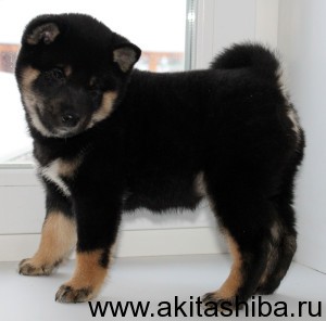 Мальчик 1 (рожден 14.11 2014)