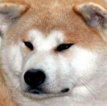 ICZCZITE HALNE WZGORZE