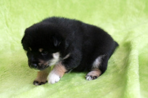 Мальчик 1, родился 15 июня 2015