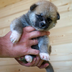 Девочка 1, родилась 10 июня 2015