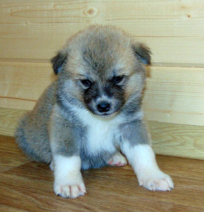 Мальчик 1, родился 10 июня 2015