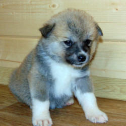 Мальчик 1, родился 10 июня 2015