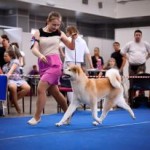 Aiken Sagarime L'Maihime