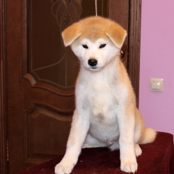 Мальчик 4 04.08.