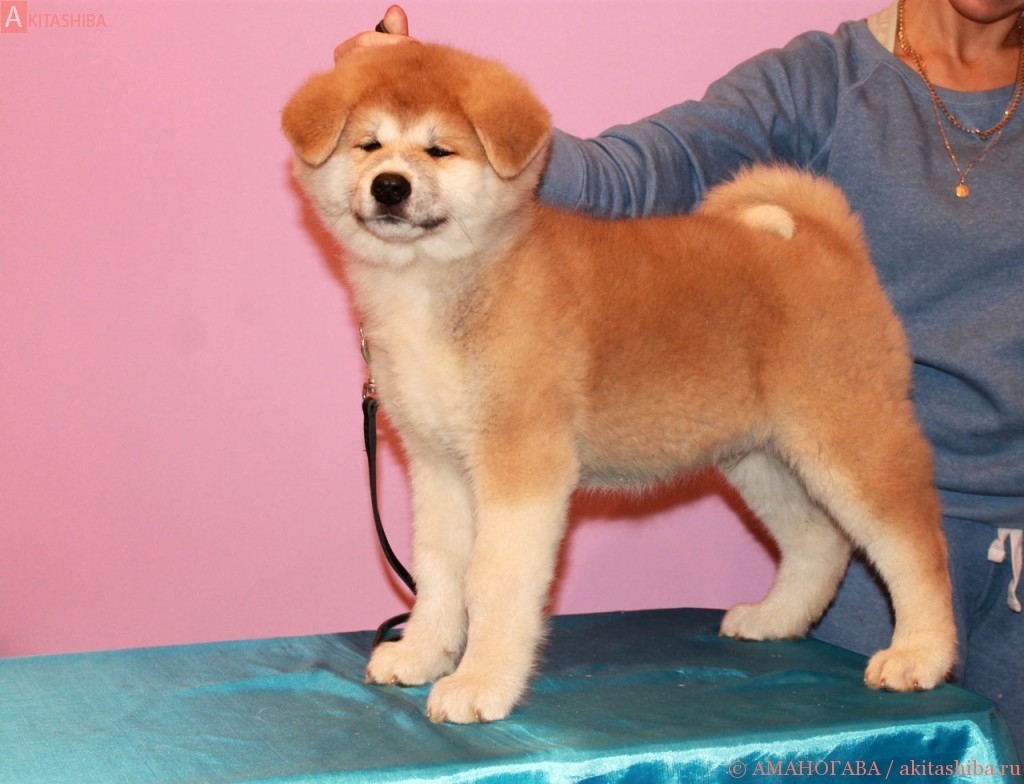 Мальчик 1 05-09