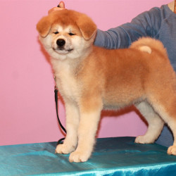 Мальчик 1 05-09