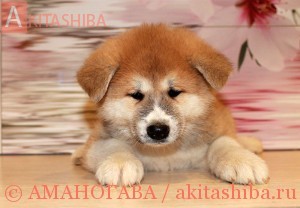 Мальчик 1 05-09