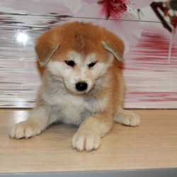 Девочка 1 от 05.09