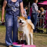 Shiki Go Ise Shimada