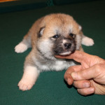 Девочка 1 от 03.11.15