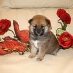 Девочка 3 010916