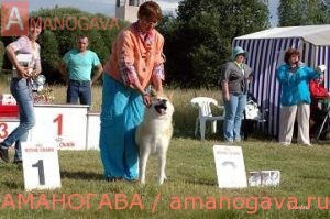 Aiken Sagarime Vaisei