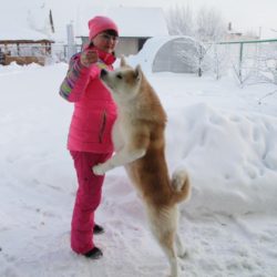 Хозяйка питомника Мария Спирц играет с акита-ину Гешей Фото: Анатолий Белясов