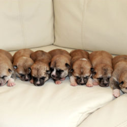 2 мальчика и 5 девочек