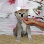 Мальчик 2 10.07.2017