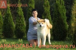 November Rain Of Wolf Point